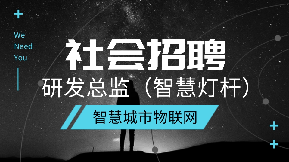 研發(fā)總監(jiān)